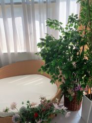点击看大图 -小阿福儿童摄影(华中智谷店)