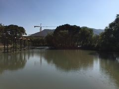 -长兴太湖图影湿地文化园