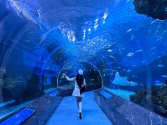 -海合安成都极地海洋公园