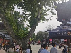 -奇芳阁·百年清真南京菜(夫子庙店)