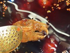 -老妈秘制兔头(春熙路店)