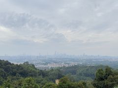 -火炉山森林公园