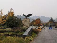 -北京鹫峰国家森林公园