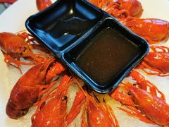 冰镇小龙虾-沪小胖小龙虾(淮海中路旗舰店)