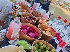 -春花秋色城市公园