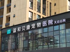 -谐和贝康宠物医院24小时·宠保定点(急重症转诊中心)