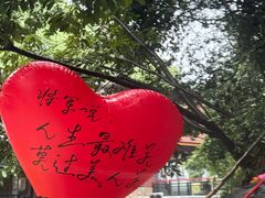 -将军关探险漂流