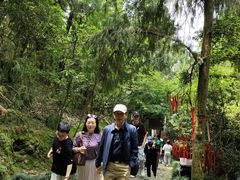 -梦姑塘文化公园