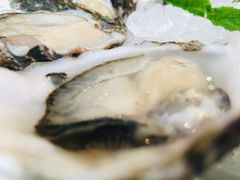 -Oyster Talks 四度蚝法餐厅