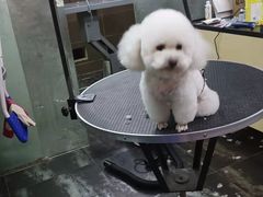 -美联众合动物医院(唯恩分院)