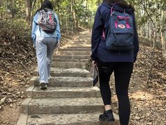 -上海佘山国家森林公园天马山园