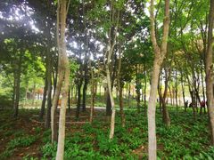 -郑州植物园