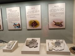 -辽宁古生物博物馆
