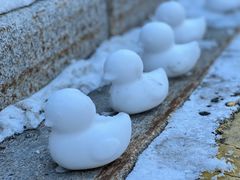 -长白山万达喜来登度假酒店