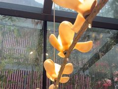 -唐猫庭院·千年陕菜(大唐不夜城店)