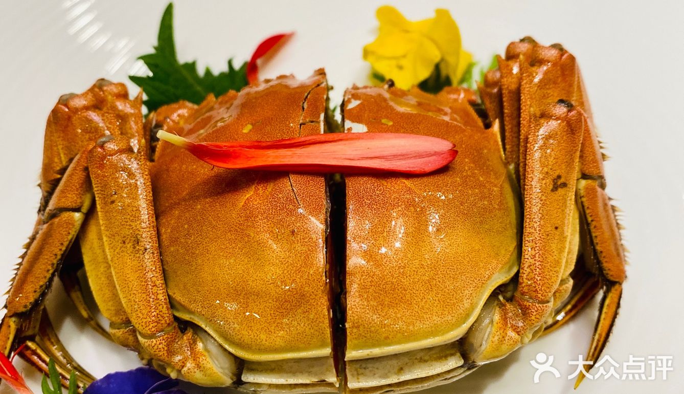 新派江南菜🍃让你不出远门也能品尝到正宗苏浙菜🐟