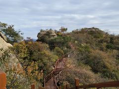 -大岭沟猕猴桃谷风景区