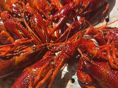 -巴厘龙虾·榜首油焖大虾(洞庭·艺术洋房店)