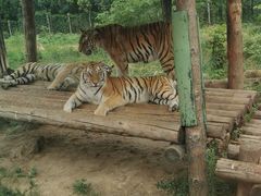 -西安秦岭野生动物园