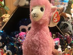 -百新书局(尚悦湾店)