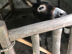 -乌村