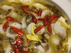 -桂满陇天书(南京德基旗舰店)