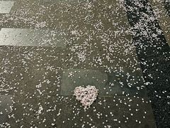 -蠡湖大桥公园