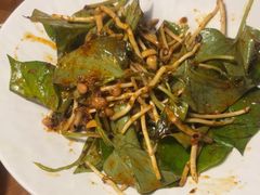 -雀舞云南菜(天津天河城购物中心店)