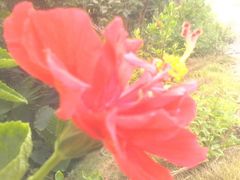 -贵阳市花溪国家城市湿地公园