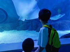 -常州海昌海洋探索馆
