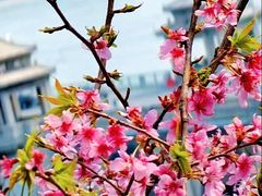 -龟山风景区-龟山电视塔