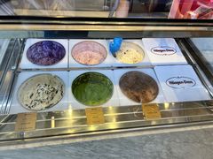 -哈根达斯(深圳海岸城店)