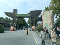 -溱湖国家湿地公园