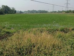 -嬉子湖生态旅游区