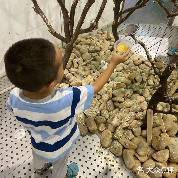 萌宠乐园夏日来打卡[调皮]