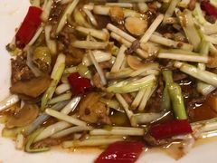 韭黄肉丝-马帮寨绿地农庄店