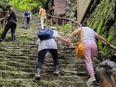 -天女山森林公园