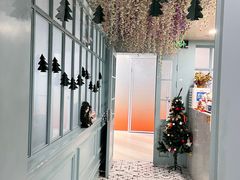 -安格丽娜·狗咖·猫咖羊驼咖(春熙路百盛商场店)