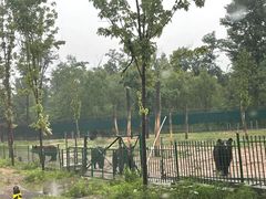 -秦皇岛野生动物园