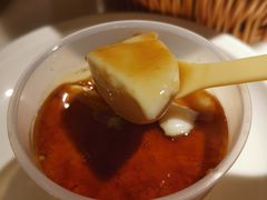布丁-佬肥猫(国华广场店)