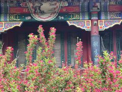 -宣武艺园