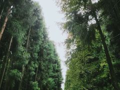 -山王坪喀斯特国家生态公园