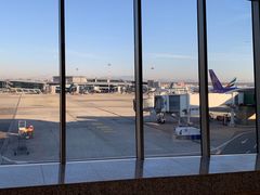 -米兰马尔彭萨国际机场