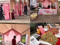-南汇桃花村
