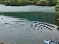 -龙坞茶村