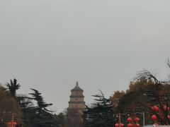 -德发长·花式蒸饺(大唐不夜城店)