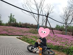 -白鹭湾湿地公园