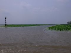-微山湖红荷湿地景区