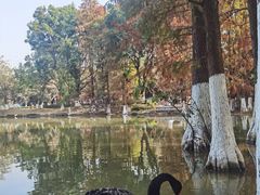 -嘉峪关城市博物馆