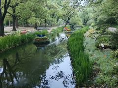 -上海共青森林公园